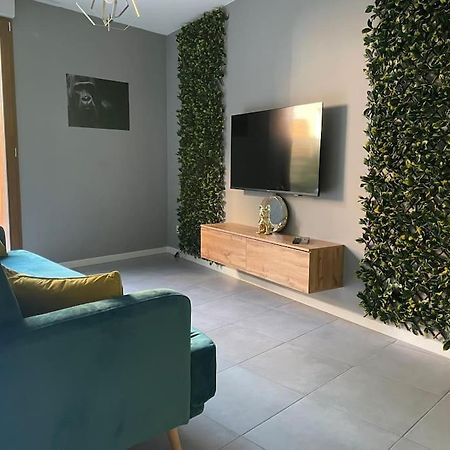 O Calme Cosy - Jardins Et Villes - Experience Unique - Wifi Gratuit - Parking Gratuite Grenoble Eksteriør bilde